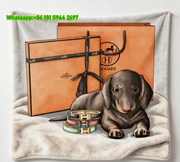 Hermès Dachshund Dog Flannel Throw Blanket IMG_5031